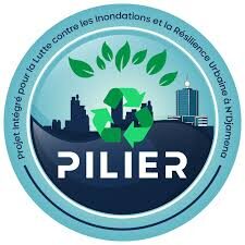 Projet Pilier Tchad _ ONG APDE-TCHAD